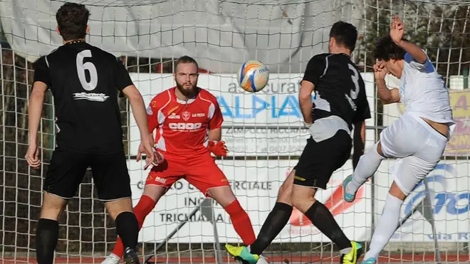 Belluno Triestina 2-1