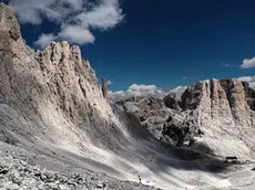 Torri del Vajolet nel gruppo del Catinaccio - ph. Andreas Tamanini