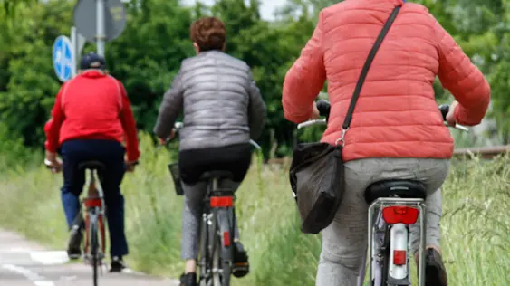 Agenzia Candussi, giornalista Chiarin. Pista ciclabile in Via Castellana tra Cipressina e Zelarino, con erba alta.