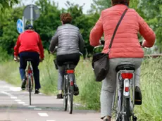 Agenzia Candussi, giornalista Chiarin. Pista ciclabile in Via Castellana tra Cipressina e Zelarino, con erba alta.