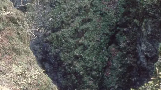 BORIN FOTO GAVAGNIN PROPOSTO PER SERVIZIO NEL GIORNO DEL RICORDO DELLE FOIBE E I LORO MORTI Altopiano del Cansiglio, la grande foiba detta «Bus de la Lum» -
