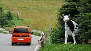 La mucca «spaventa- motociclisti» acquistata da due coniugi a Livinallongo