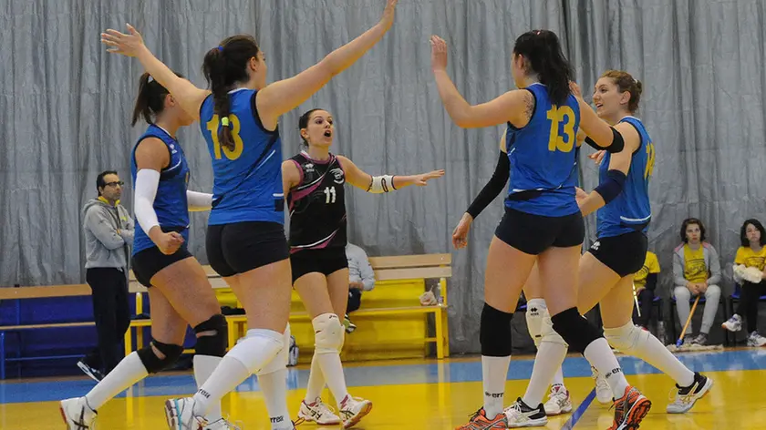 gian paolo perona-perona-belluno-volley -spes