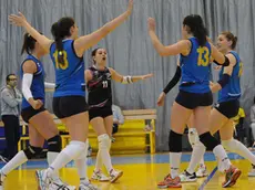 gian paolo perona-perona-belluno-volley -spes