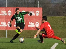 Ripa 4-2