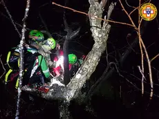 Soccorso alpino impegnato in una ricerca in notturna (Foto Corpo nazionale soccorso alpino e speleologico del Veneto)