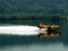 - Il canadair carica l'acqua al lago di Santa Croce