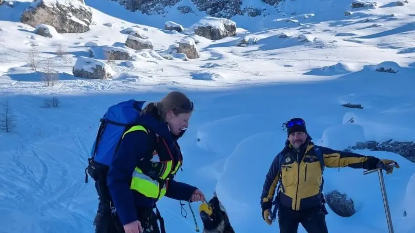 Una unità cinofila impegnata nell'esercitazione di soccorso su valanga a Misurina portata a termine da guardia di finanza e polizia (Foto guardia di finanza)