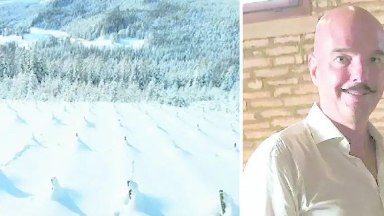 L’imprenditore trevigiano Gianluca Bisol e il vigneto in località Chiave, a Cortina, coperto dalla neve (foto di Gianluca Bisol)
