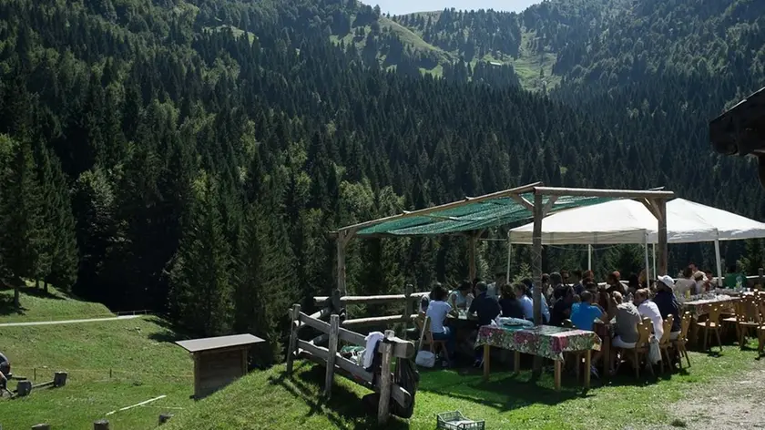 Centro didattico ambientale Aula Verde VALPORE - attività 2015 - Foto di Tommaso Saccarola