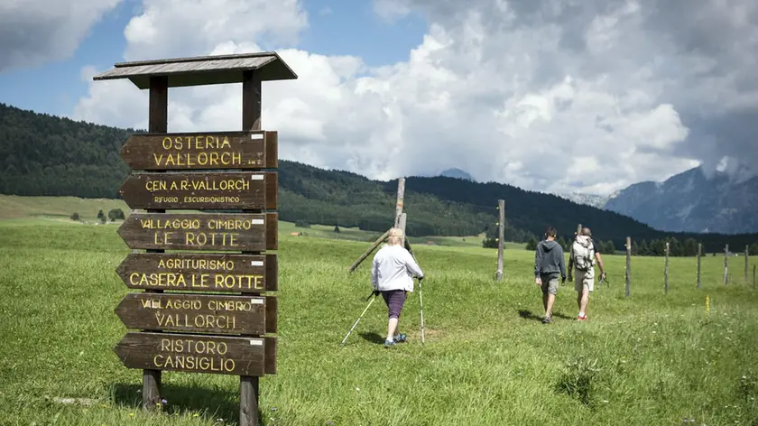 Marson Vittorio Veneto "I luoghi dell'estate" Piana Del Cansiglio