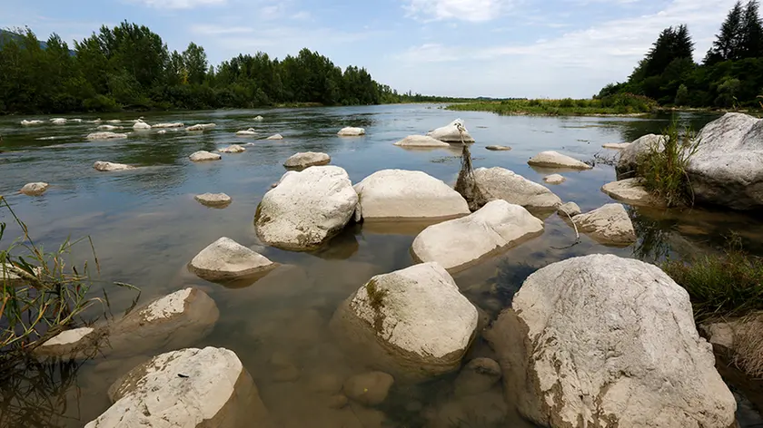 Agostini Pederobba il fiume Piave