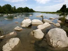 Agostini Pederobba il fiume Piave