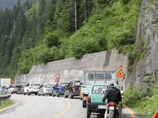 Stefano Da Rin Puppel-Perona-Santo Stefano di Cadore-Cantiere Prolungamento Paramassi Coltrondo