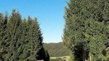 La piana del Cansiglio E a sinistra il museo di Pian Osteria dedicato alla vita nella foresta