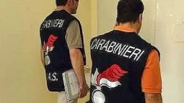 I carabinieri del Nas di Treviso in azione