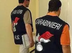 I carabinieri del Nas di Treviso in azione