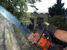PD 14/08/03 G.M. PIOGGIA. VENTO. ALBERO CADUTO IN VIA CADORNA . VIGILI DEL FUOCO AL LAVORO (SALMASO)