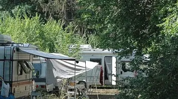 Roulotte accampate in un bosco