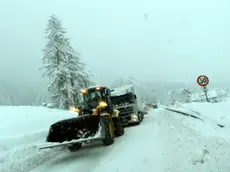 20090120-CORTINA D'AMPEZZO (BELLUNO)-WEA: MALTEMPO; ANAS, NEVE AL NORD E NEBBIA AL CENTRO. Nevica al nord, dal Piemonte alla Valle D'Aosta, dalla Lombardia al Veneto, nebbia fitta nelle Marche ed in Umbria. Questa la situazione sulla rete Anas dove sono scattati i piani d'intervento con uomini e mezzi della società delle strade per garantire la sicurezza agli utenti. In Veneto neve sulla statale 51 di Alemagna, da Borca di Cadore al Passo Cimabanche; sulla statale 52 Carnica,da Passo Mauria a Passo di Montecroce Comelico. Nella foto: la statale che porta alla pista delle Tofane a Cortina d'Ampezzo. ANSA/CLAUDIO ONORATI/on /DC