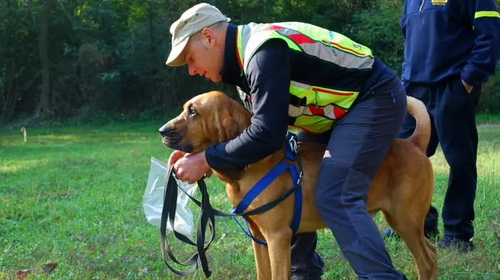 Danilo, il conduttore, e Magoo, il suo Bloodhound o Cane di Sant'Uberto.