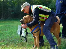 Danilo, il conduttore, e Magoo, il suo Bloodhound o Cane di Sant'Uberto.