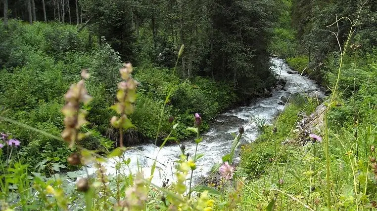 Uno scorcio del torrente Liera a Canale d'Agordo: il progetto di centralina sul corso d'acqua è stato bocciato