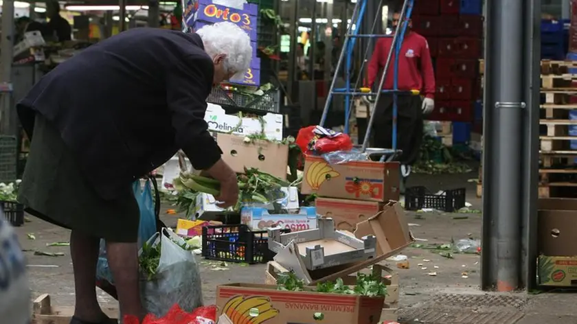 20081112 - ROMA -SOI- ISTAT: AGRICOLTURA, AZIENDE NORD REGINE PRODUZIONE E VALORE - Poveri a Roma nel mercato rionale di Val Melaina raccolgono generi di prima necessità in terra tra gli scarti . Le aziende agricole del Nord e in particolare quelle del Nord ovest svettano sul resto d'Italia riguardo la produzione (50,2% del totale) ed il valore aggiunto ottenuto (45,5%, il 23,7% espresso dal Nord Ovest e il 21,8% dal Nord Est). Lo rileva l'annuario statistico Istat 2008 in riferimento all'anno 2005...ANSA/MASSIMO PERCOSSI / COC