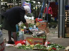 20081112 - ROMA -SOI- ISTAT: AGRICOLTURA, AZIENDE NORD REGINE PRODUZIONE E VALORE - Poveri a Roma nel mercato rionale di Val Melaina raccolgono generi di prima necessità in terra tra gli scarti . Le aziende agricole del Nord e in particolare quelle del Nord ovest svettano sul resto d'Italia riguardo la produzione (50,2% del totale) ed il valore aggiunto ottenuto (45,5%, il 23,7% espresso dal Nord Ovest e il 21,8% dal Nord Est). Lo rileva l'annuario statistico Istat 2008 in riferimento all'anno 2005...ANSA/MASSIMO PERCOSSI / COC