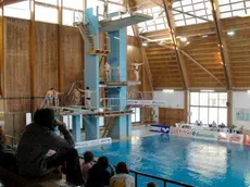 belluno, 11 febbraio 2006. alla piscina di lambioi la gara di tuffi