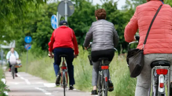 Agenzia Candussi, giornalista Chiarin. Pista ciclabile in Via Castellana tra Cipressina e Zelarino, con erba alta.