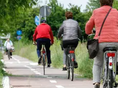 Agenzia Candussi, giornalista Chiarin. Pista ciclabile in Via Castellana tra Cipressina e Zelarino, con erba alta.