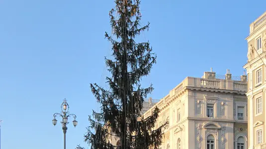 Lasorte Trieste 25/11/11 - Piazza Unità, Albero di Natale