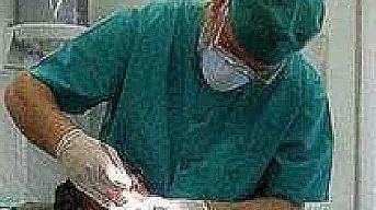 Un dentista all’opera