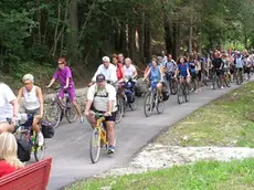 Gli Amici della Bicicletta nel tratto della Lunga Via delle Dolomiti che passa nel Cadore