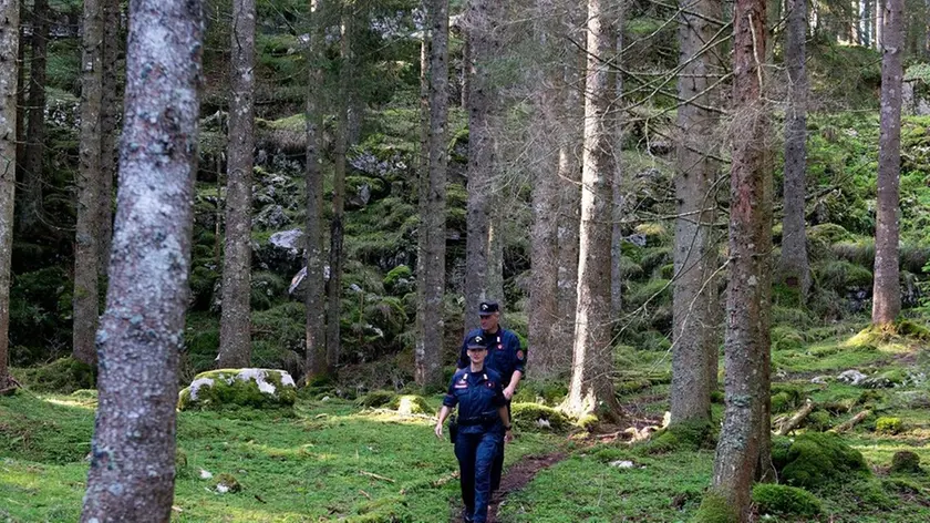 Carabinieri forestali in un bosco infestato dal bostrico